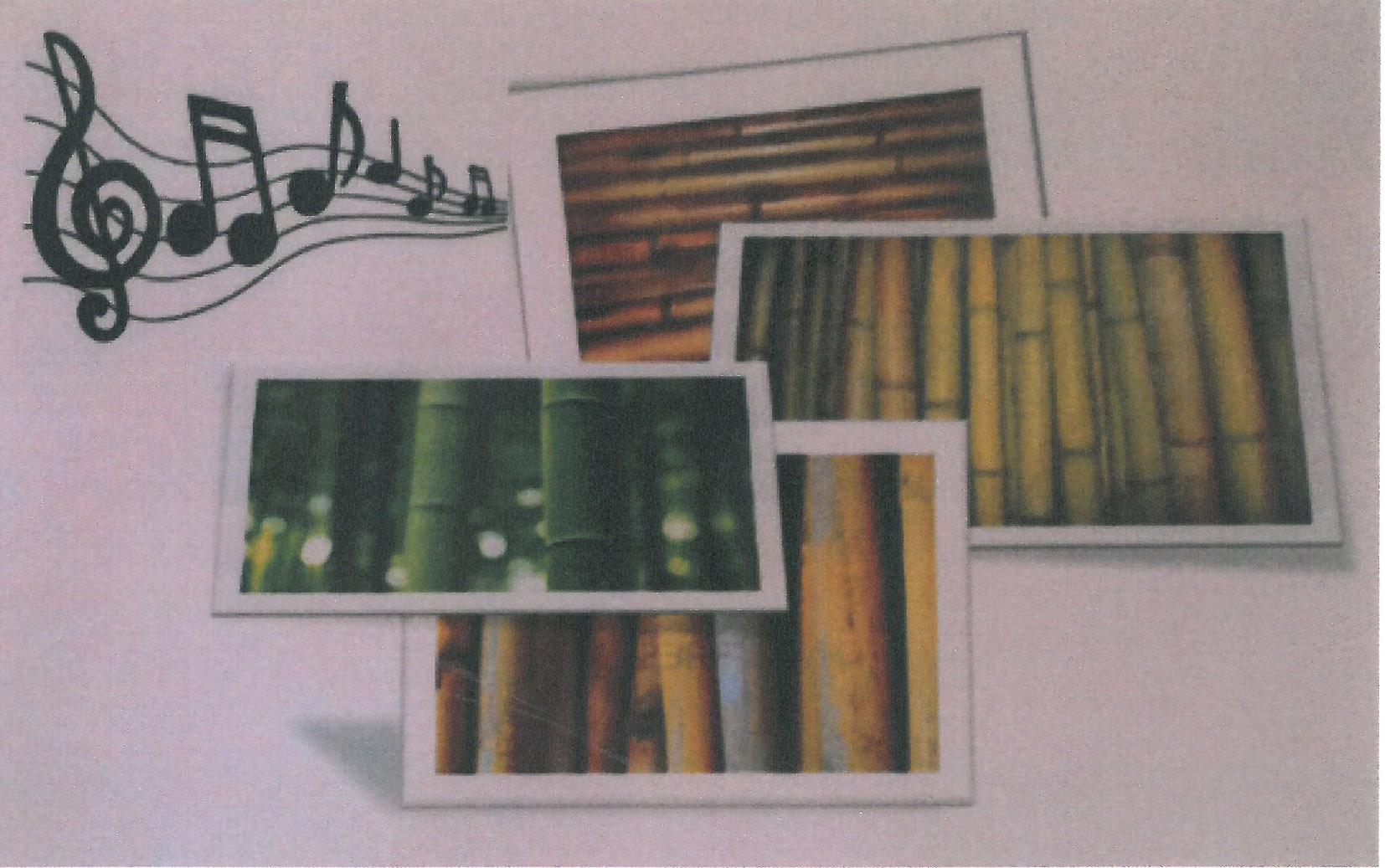 Conferencia: Instrumentos Musicales construidos con caña First