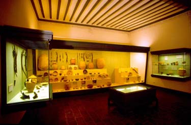 Visitas guiadas en El Cigarralejo First