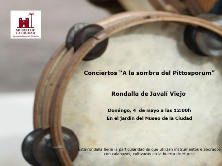 Conciertos “A la sombra del Pittosporum” en el Museo de la Ciudad First