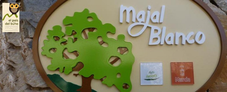 Actividades de Ecopatrimonio para noviembre First