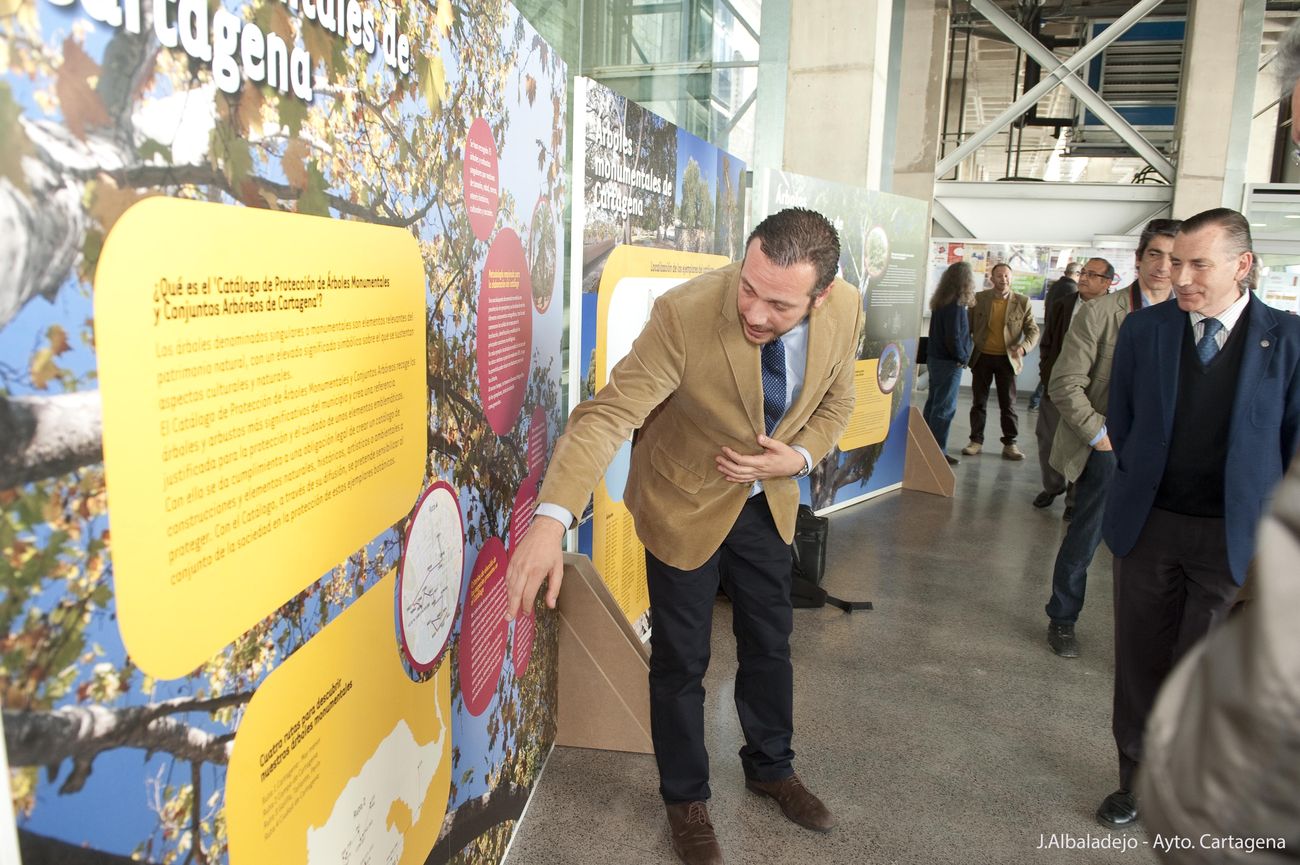 Exposición: "EnArbolar: Grandes Árboles para la Vida" en Cartagena First