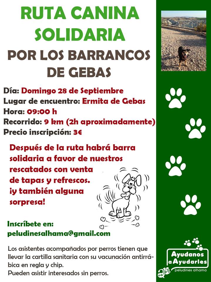 Ruta Canina Solidaria por los Barranco de Gebas First