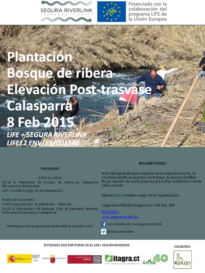 Actividad de voluntariado 'Plantación bosque de Ribera' First