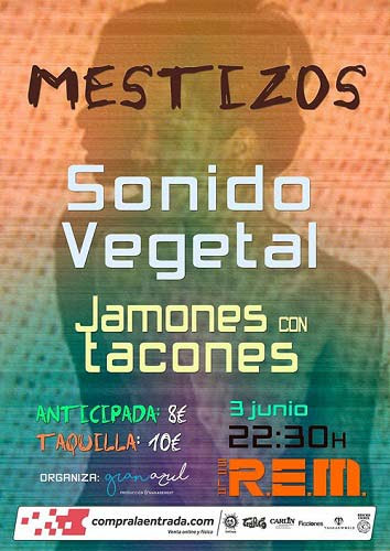 Fiesta MESTIZOS con  Sonido Vegetal y Jamones con Tacones First