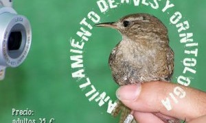 Programa del curso sobre anillamiento de aves y ornitología