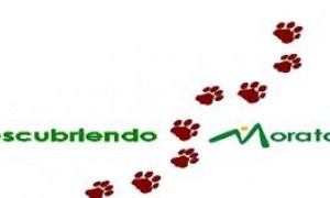 Nuevas rutas de Descubriendo Moratalla