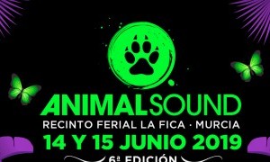 Animal Sound VI